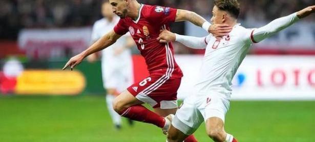 爱游戏官方入口-波兰备战阿尔巴尼亚，豪取必胜