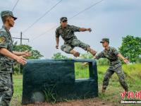 爱游戏网页版登录入口-战术打法大胆变化，球队战术多样性显著提升的简单介绍