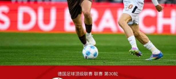 爱游戏入口-勒沃库森击败斯图加特晋级，桑普多利亚战平触底的简单介绍