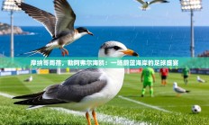 摩纳哥雨燕，勒阿弗尔海鸥：一场蔚蓝海岸的足球盛宴