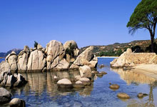 爱游戏体育直播-风波激荡，谁能胜出登上领奖台的简单介绍